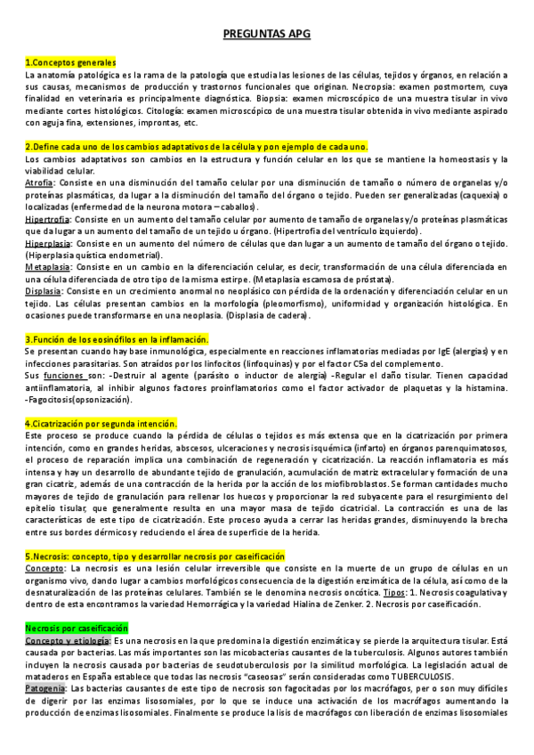Miniatura del documento APG-RECOPILATORIO.pdf