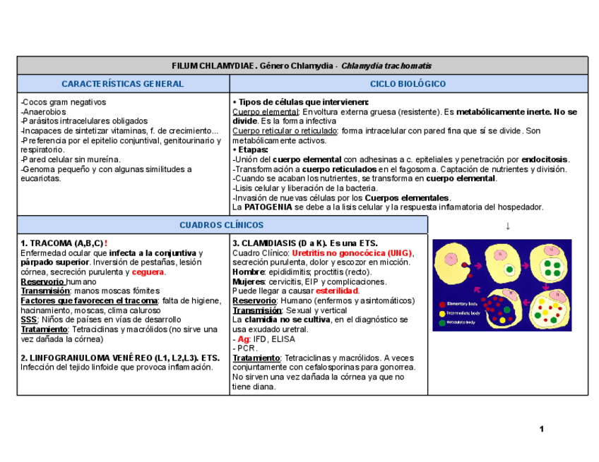 Miniatura del documento Microbiologia-2-TABLAS-T10-13.pdf
