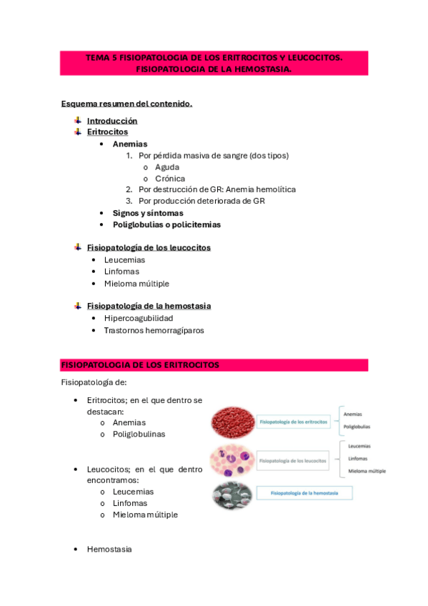 Miniatura del documento TEMA-5-DE-FISIO-SANGRE.pdf