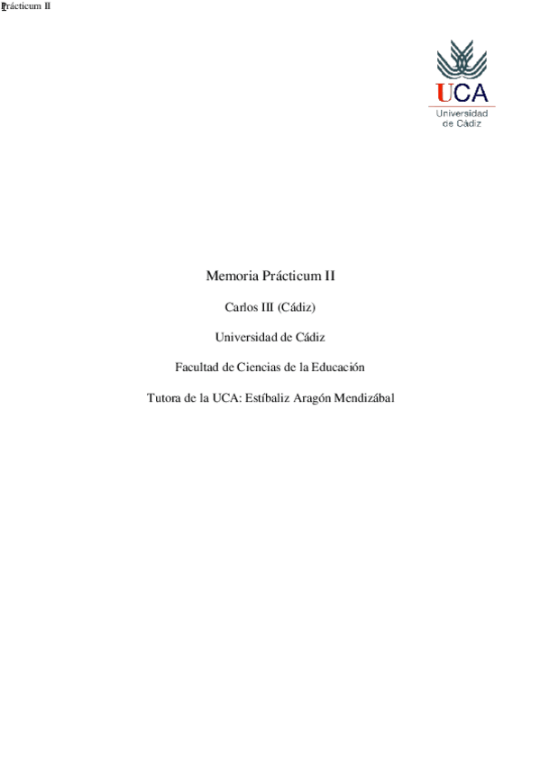 Miniatura del documento MEMORIA.docx