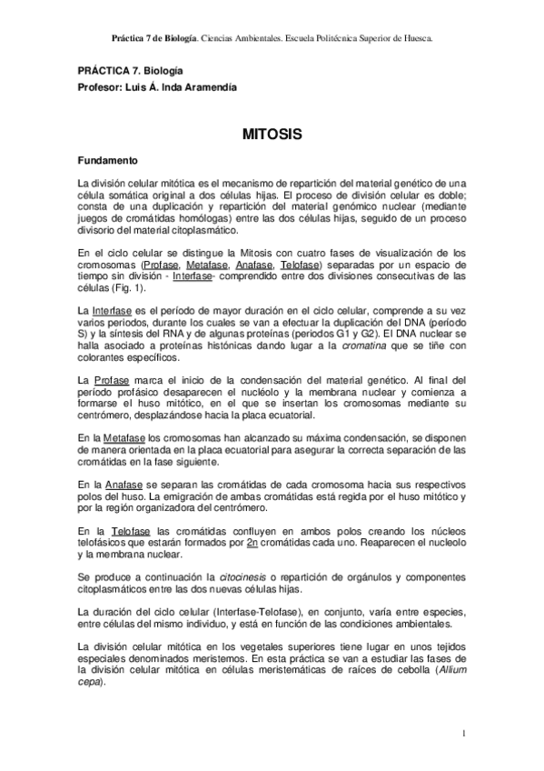 Miniatura del documento P8Mitosis.pdf