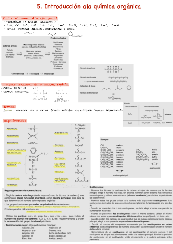 Miniatura del documento 5.-Introduccion-ala-quimica-orgaunica.pdf