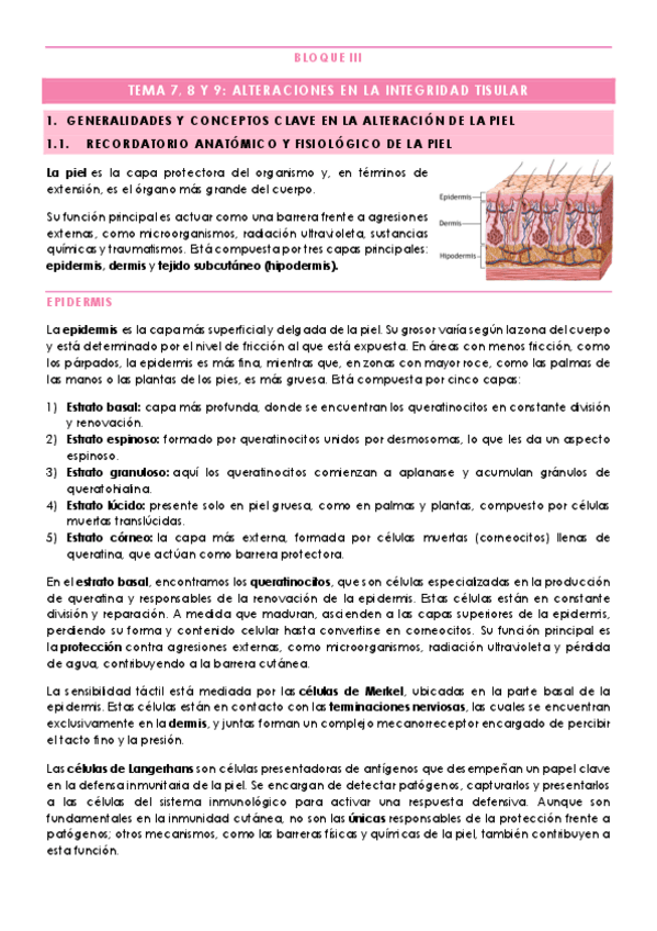 Miniatura del documento DERMA.pdf