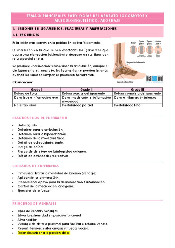 Miniatura del documento TEMA-3-PRINCIPALES-PATOLOGIAS-DEL-APARATO-LOCOMOTOR-Y-MUSCULOESQUELETICO.-ABORDAJE.pdf