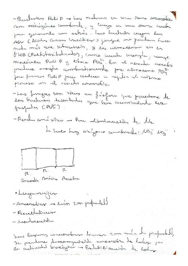Miniatura del documento APUNTES-DE-CLASE-PARTE-4.pdf