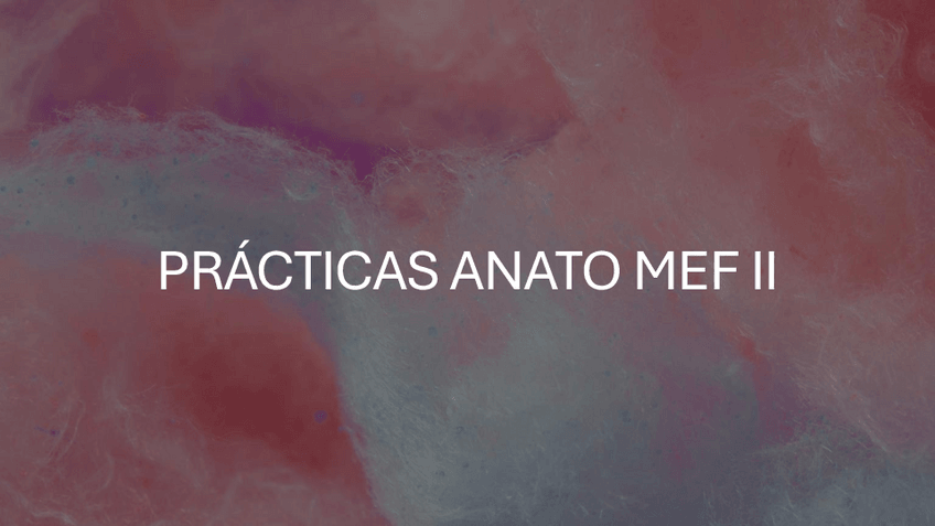 Miniatura del documento PRACTICAS-ANATO-MEF-II.pdf