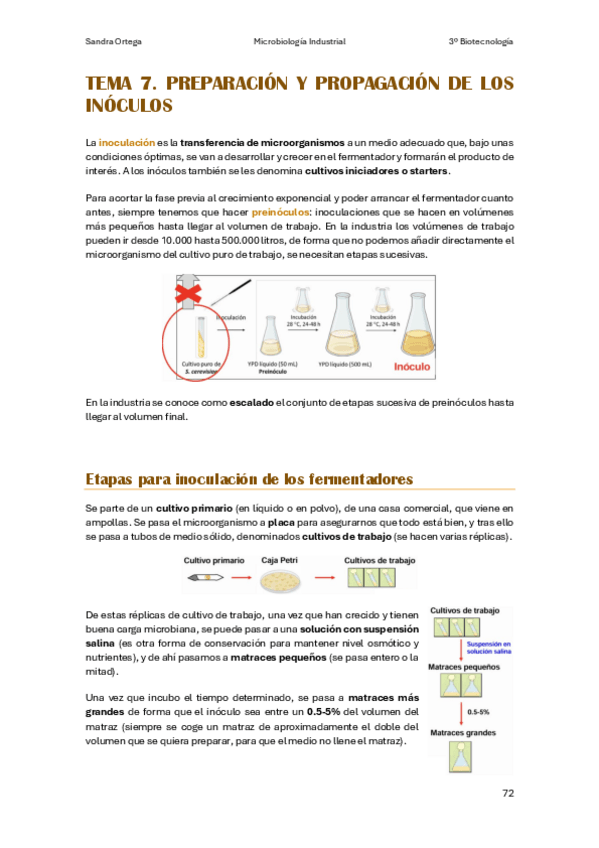 Miniatura del documento APUNTES-T7-MI.pdf