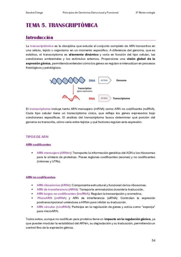 Miniatura del documento APUNTES-T5-PGEF.pdf