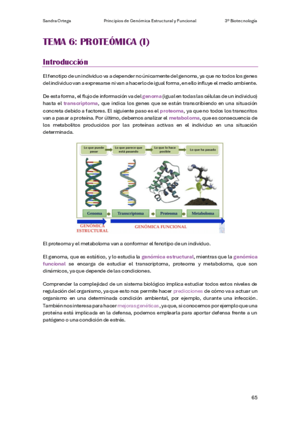 Miniatura del documento APUNTES-T6-PGEF.pdf
