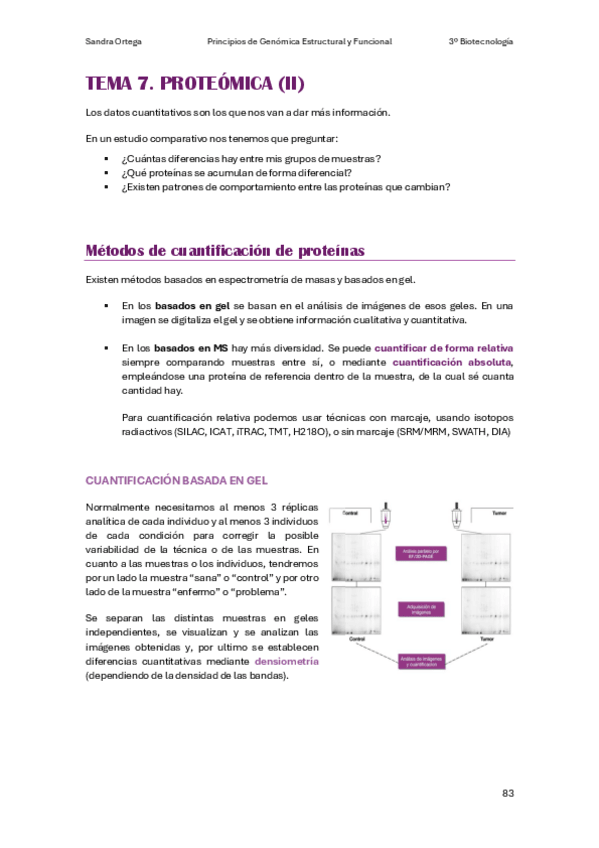 Miniatura del documento APUNTES-T7-PGEF.pdf