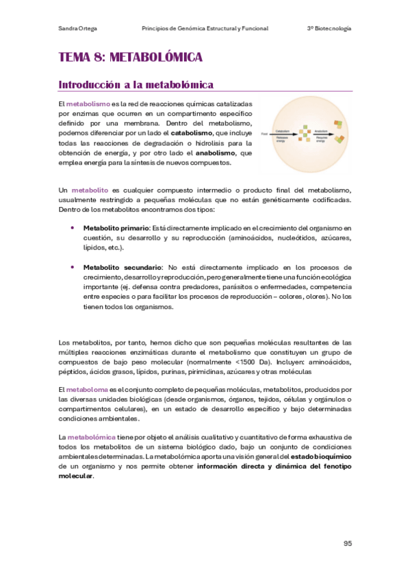 Miniatura del documento APUNTES-T8-PGEF.pdf