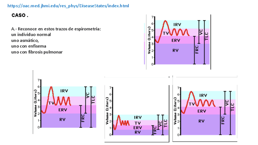 Miniatura del documento Casos-practicos-respiratorio.pdf