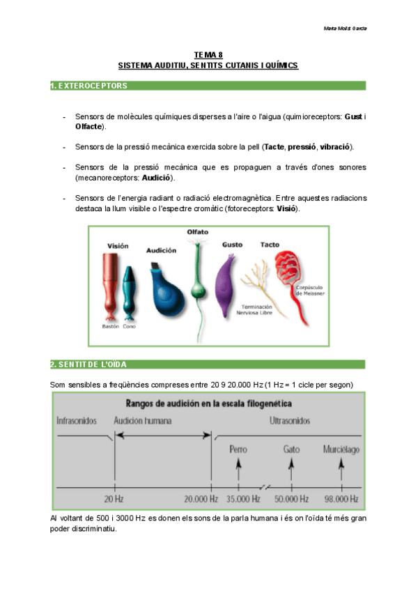 Miniatura del documento TEMA-8-SISTEMA-AUDITIU-SENTITS-CUTANIS-I-QUIMICS.pdf