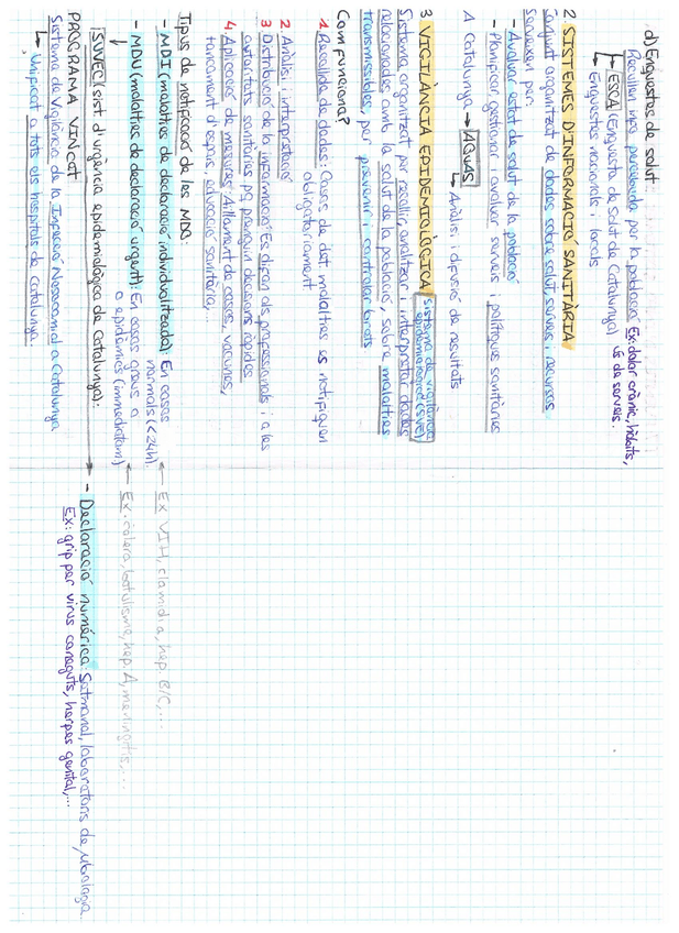 Miniatura del documento pag-12-epi.jpeg