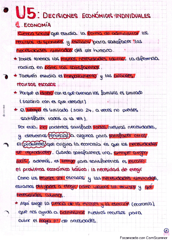 Miniatura del documento Decisiones-economicas-individuales.pdf