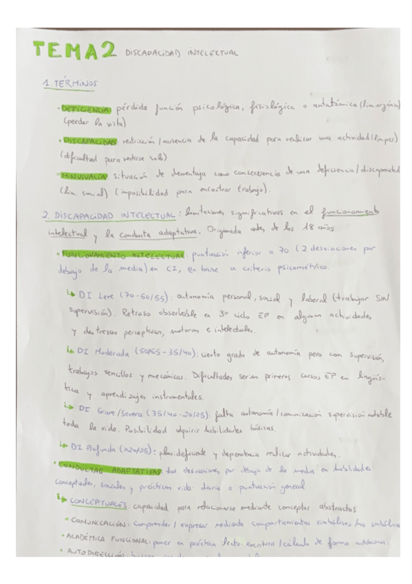 Miniatura del documento Tema-2-Discapacidad-Intelectual-20242025.pdf