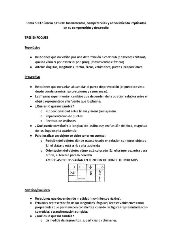 Miniatura del documento Tema-5-El-numero-natural-fundamentos-competencias-y-conocimiento-implicados-en-su-comprension-y-desarrollo.docx.pdf