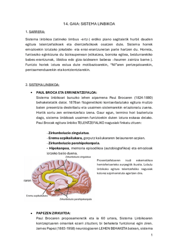 Miniatura del documento 14.-Gaia.-Sistema-linbikoa-PDF.pdf