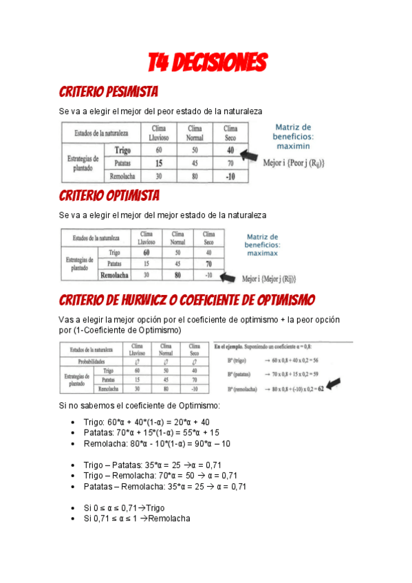 Miniatura del documento T4-Decisiones.pdf