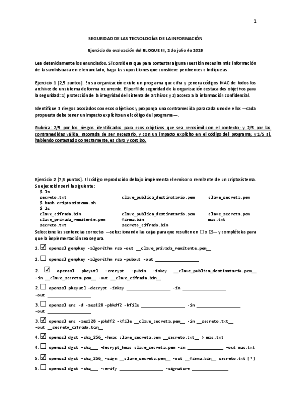 Miniatura del documento SEGTIFinal-B320252-julio.pdf
