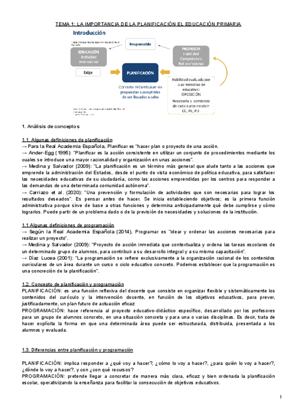 Miniatura del documento PLANIFICACION-TEMA-1.pdf