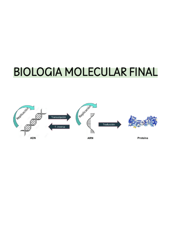 Miniatura del documento FINAL-Biologia-molecular.pdf