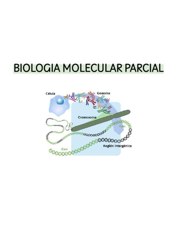 Miniatura del documento PARCIAL-Biologia-molecular.pdf
