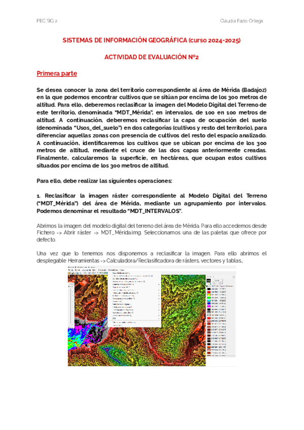 Miniatura del documento PEC-2.pdf