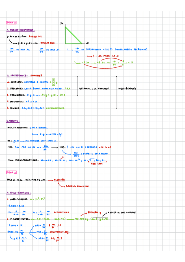 Miniatura del documento Resum Microeconomics I (complet).pdf