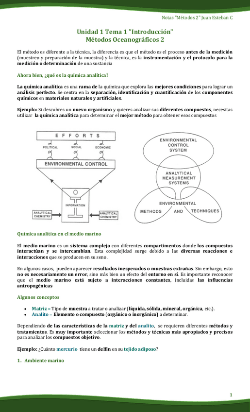 Miniatura del documento APUNTES-ESPANOL.pdf