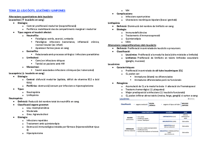Miniatura del documento resums-del-tema-22-al-28.pdf