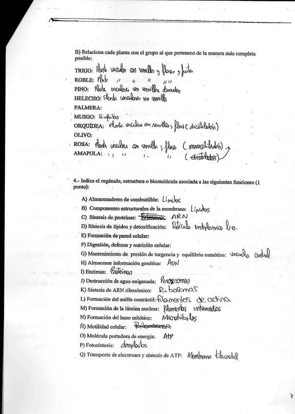 Miniatura del documento bio7.jpg