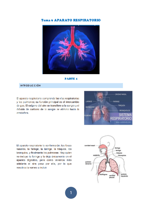 Miniatura del documento Tema-6-APARATO-RESPIRATORIO.pdf