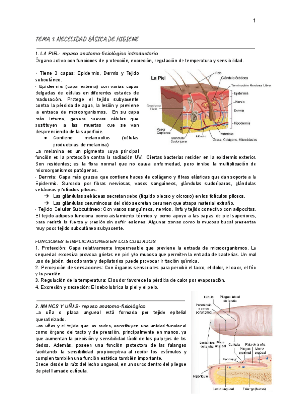 Miniatura del documento TEMA-9.pdf