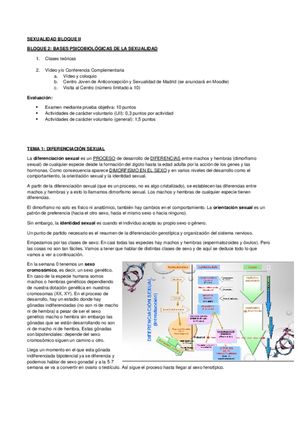 Miniatura del documento Apuntes Sexualidad BII-1.docx
