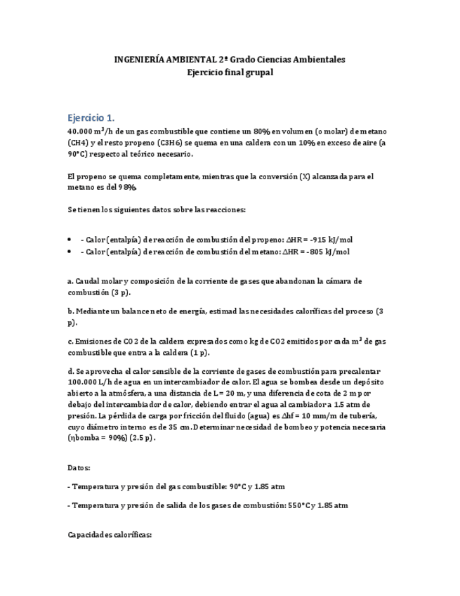 Miniatura del documento EjercicioFinalGrupalIngenieriaAmbiental.pdf