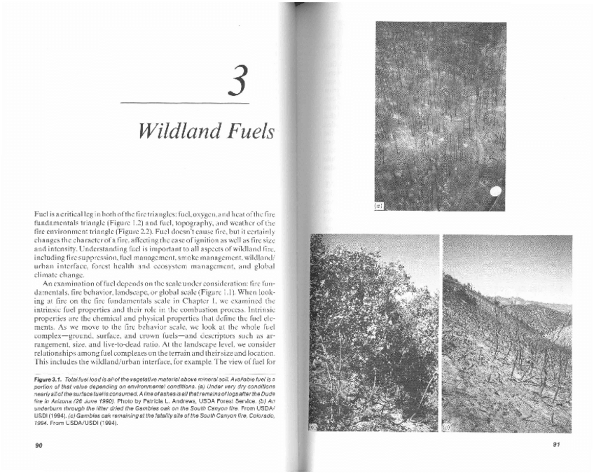 Miniatura del documento Pyneetal1996Ch3ocr.pdf