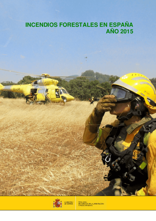 Miniatura del documento Incs.forests.Espaa2015.pdf