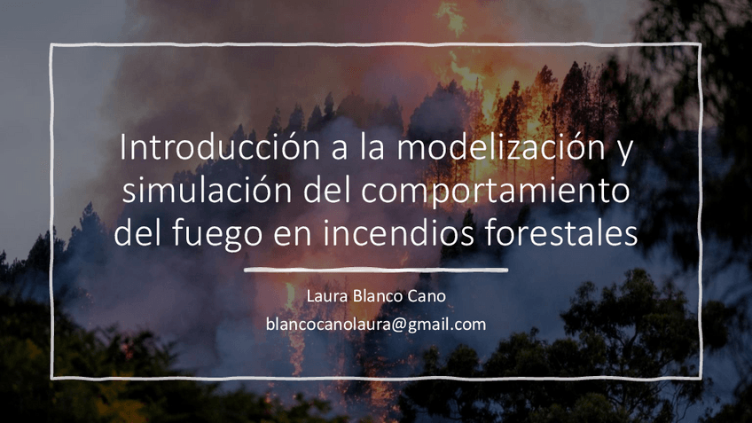 Miniatura del documento seminariosimulacinincendiosM.pdf