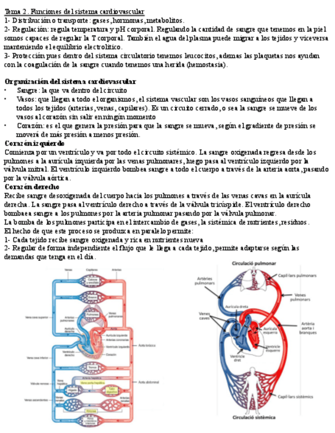 Miniatura del documento Resumen-final-castellano.pdf
