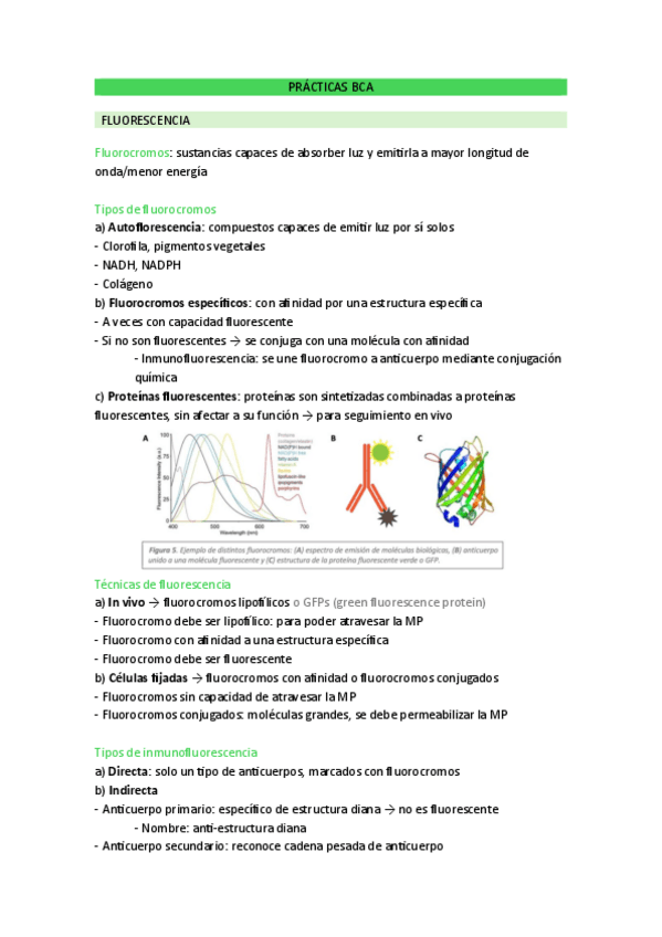 Miniatura del documento PRACTICAS-BCA.pdf