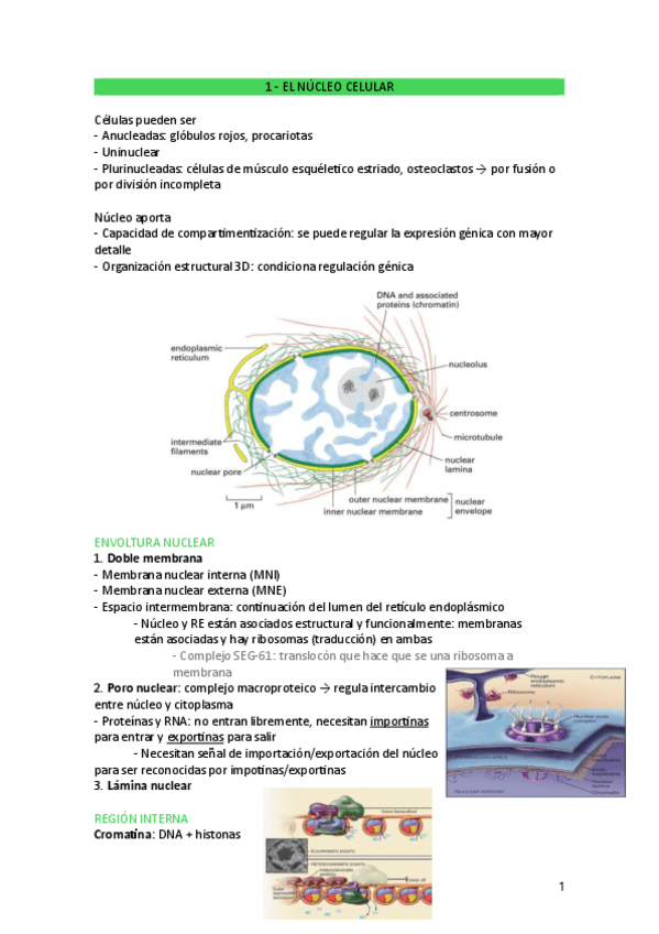 Miniatura del documento BCA-PARTE-1.pdf