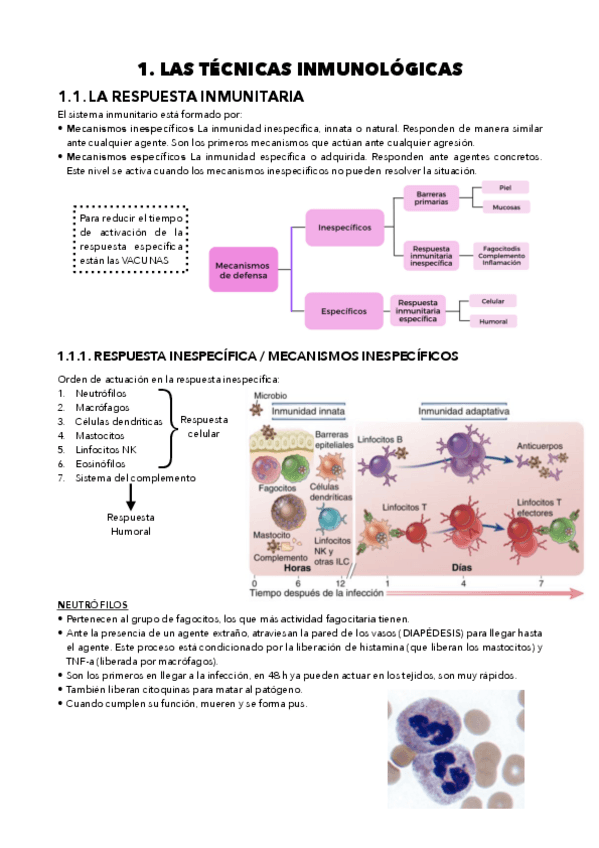 Miniatura del documento INMUNO-apuntes.pdf