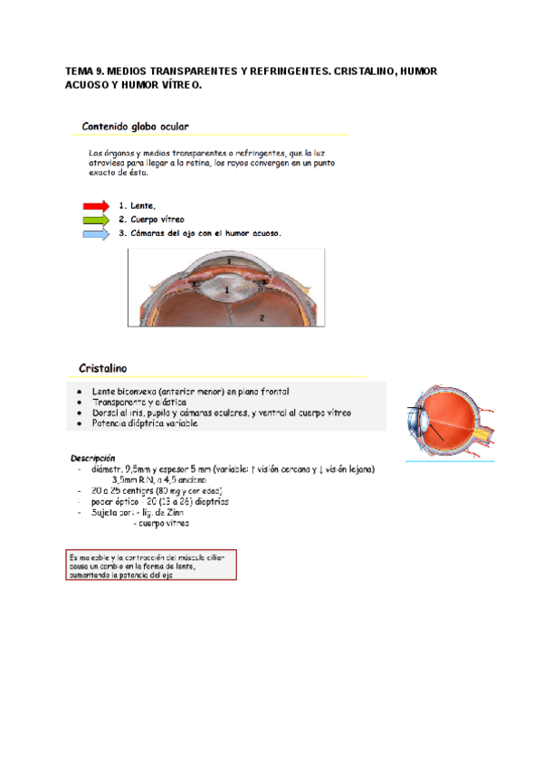 Miniatura del documento Tema-9-ANATOMIA.pdf