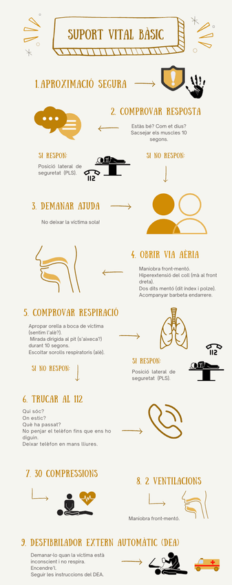 Miniatura del documento suport-vital-basic.png