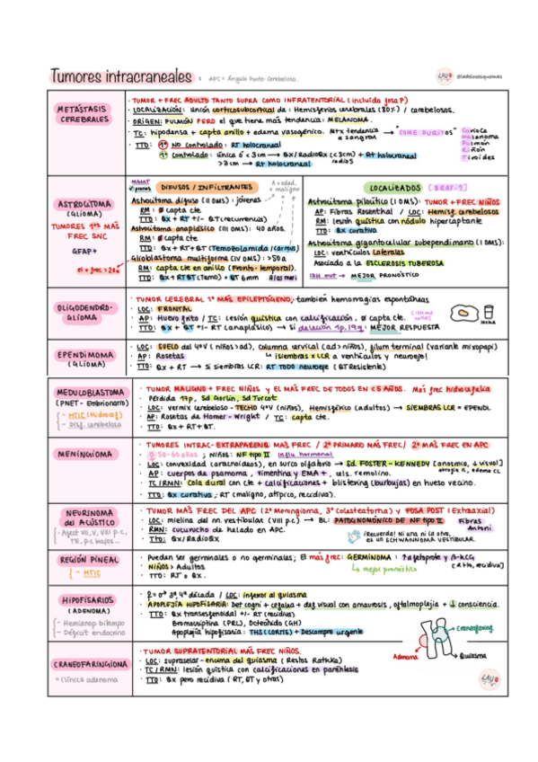 Miniatura del documento Resumen-Neuro-MIR.pdf