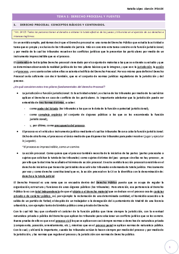 Miniatura del documento TEMA-1-DER-PROCESAL.pdf