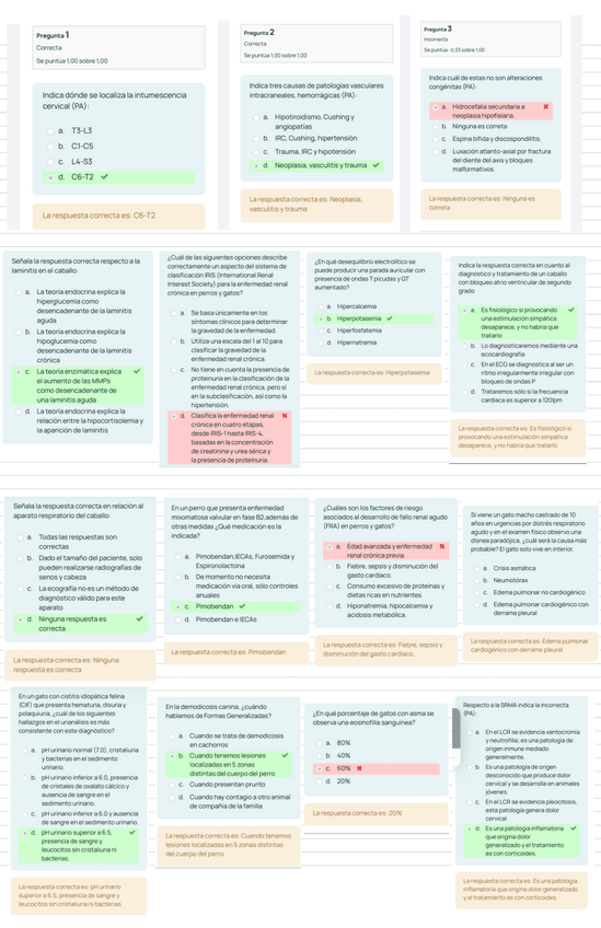 Miniatura del documento Examen-Junio-2025.pdf