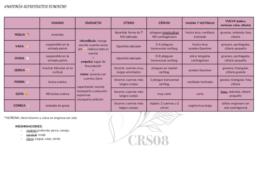 Miniatura del documento RESUMEN-REPRO.pdf