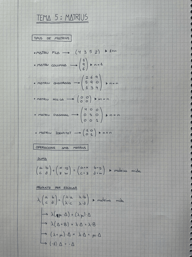 Miniatura del documento 5.-Matrius-Apunts-M1.pdf